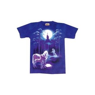 T-Shirt Kingdom of Unicorns, Kids S, 2. Wahl