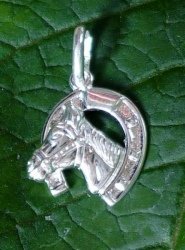 Anhänger Hufeisen mit Pferdekopf, klein, Silber 925